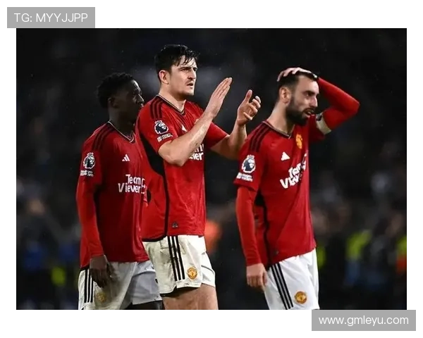 塔雷米本赛季表现稳健，进攻端持续提升备受期待