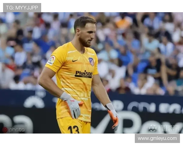 奥布拉克：超低失误+极致稳定的顶级门将模板