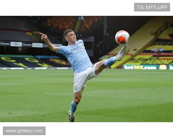 维尔茨大赛表现稳定性分析