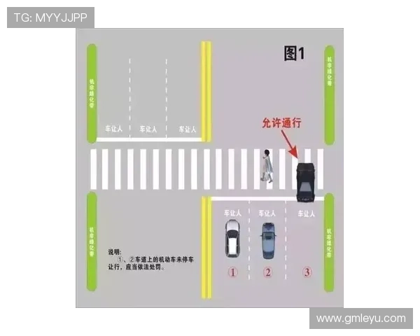 合理冲撞区规则解析及其判罚标准是什么？